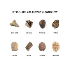 Hocan Spielzeug graben DIY-Graben fur Schatz-Edelstein-Archaologie-Spielzeug Игрушки для копания Сделай сам копать сокровища Драгоценные камни Археологические игрушки