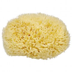 for your Beauty Natur Badeschwamm Натуральная губка для ванной для стимуляции кровообращения 1 шт.