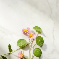 Rituals Ageless Firming Night Cream Укрепляющий ночной крем Ageless