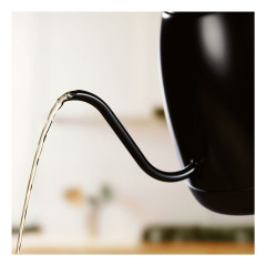 Krups Krups Wasserkocher Cafe Control Gooseneck Coffee Kettle, 1.14 l, 1250 W, 1,0 Lier, 1250 Watt, Temperaturvorwahl  Кофейный чайник Krups Kettle Cafe Control на гибкой стойке, 1,14 л, 1250 Вт, 1,0 л, 1250 Вт, предварительный выбор температуры