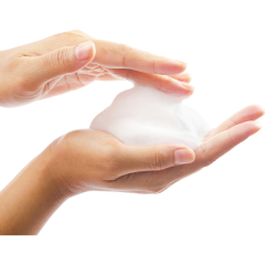 Sagrotan Samt Schaum Sanfte Schaumseife Kirschblute &amp; Rose Сагротан Нежное мыло-пенка для рук Цветы вишни и розы, 250 мл