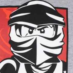 LEGO Langarmshirt fur Jungen Рубашка с длинным рукавом для мальчиков