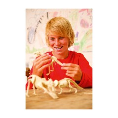 4M KidzLabs KidzLabs