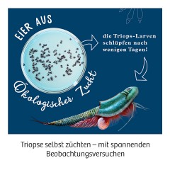 Kosmos Triops-Welt Триопс мир